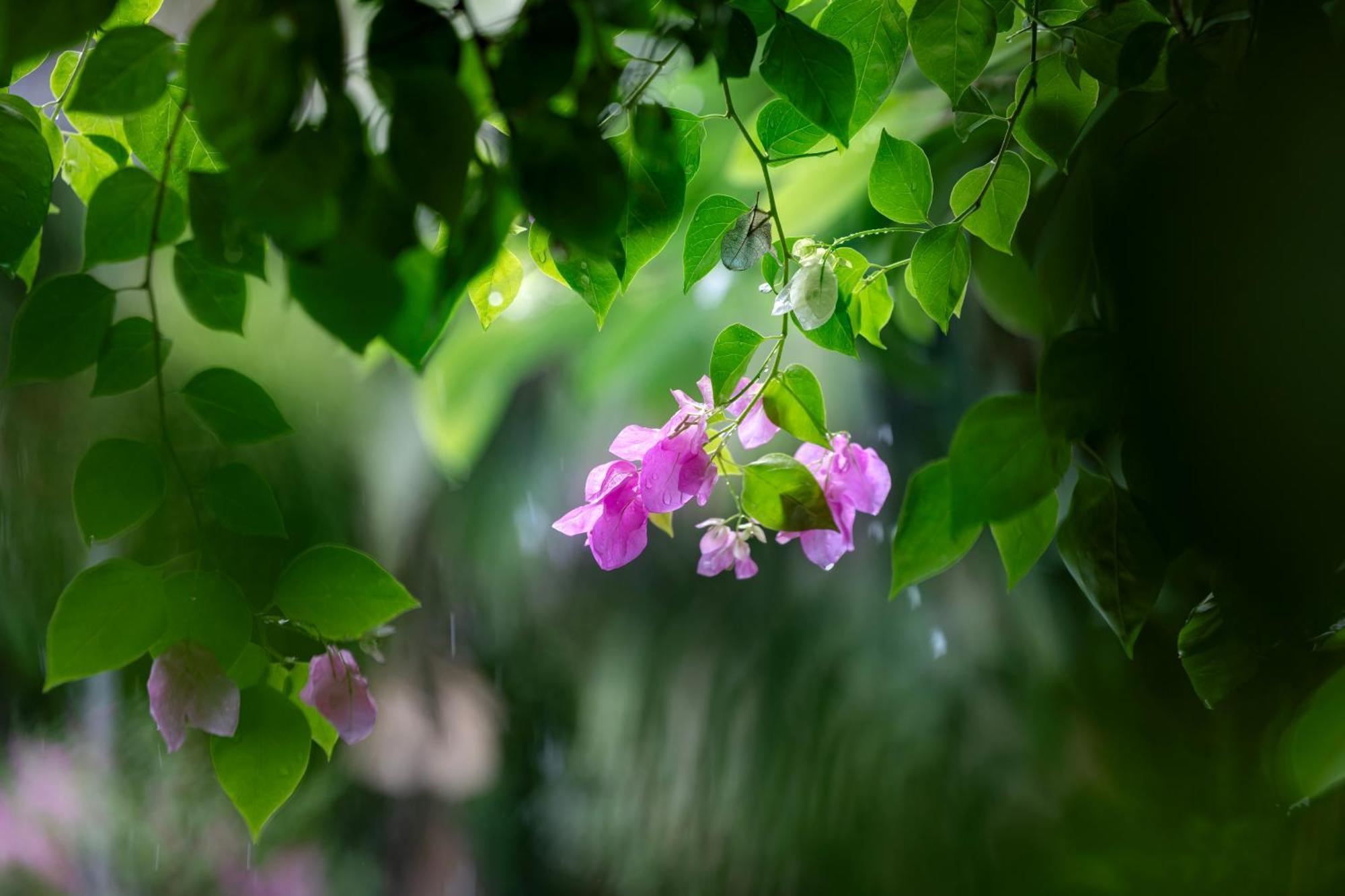 Trang An Family Homestay Ninh Binh Eksteriør billede